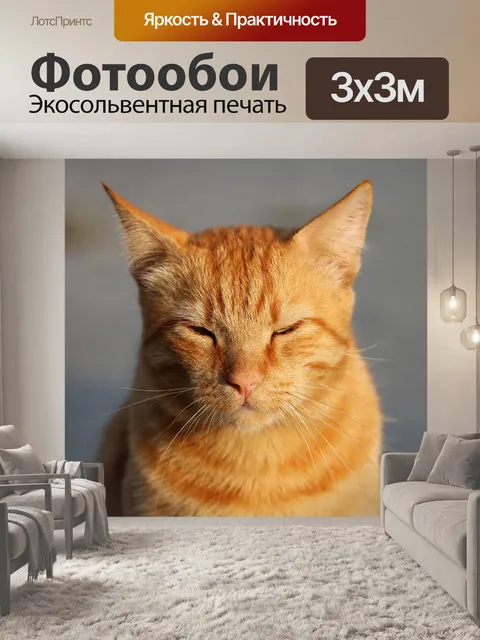 Фотообои Кошка