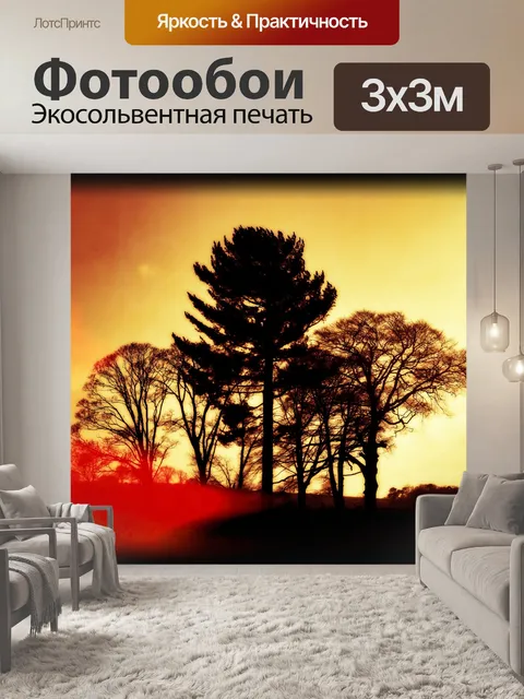 Фотообои Деревья без листьев