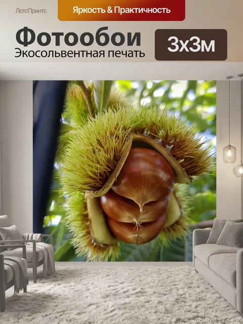 Фотообои Природа