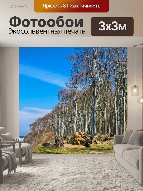 Фотообои Лес