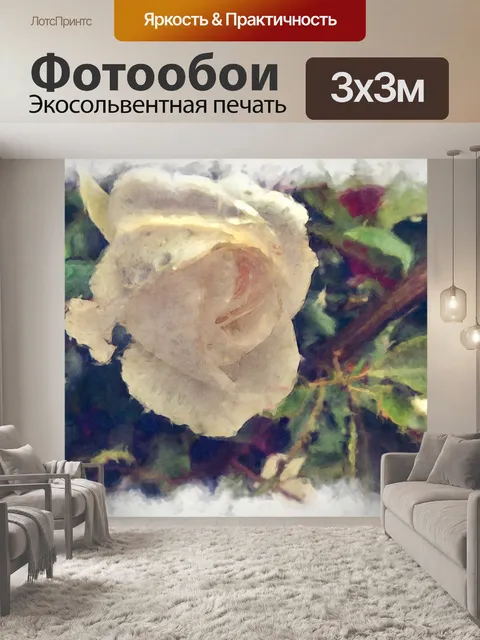 Фотообои белая роза