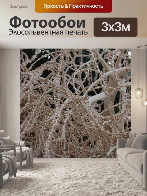 Фотообои Ладонь