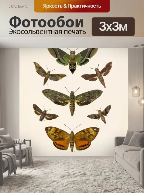 Фотообои Гуляки бабочки искусство