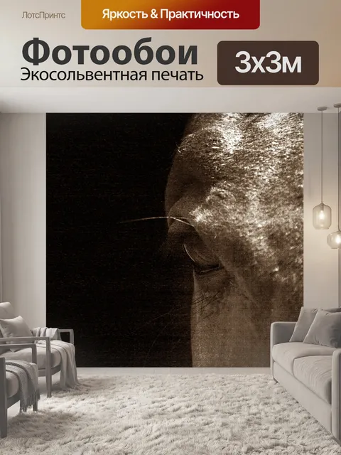 Фотообои Лошадь