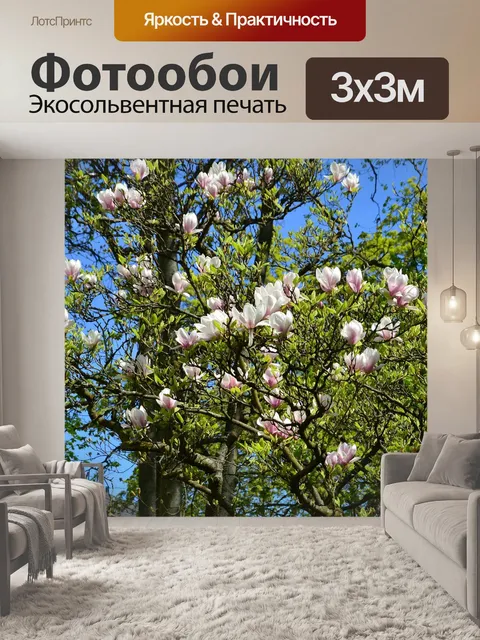Фотообои Магнолии