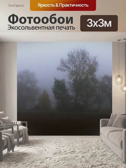 Фотообои Туман