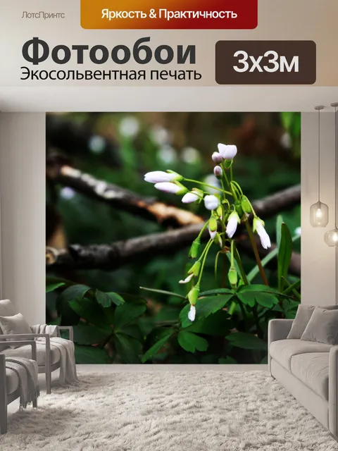Фотообои Красивый фон цветы