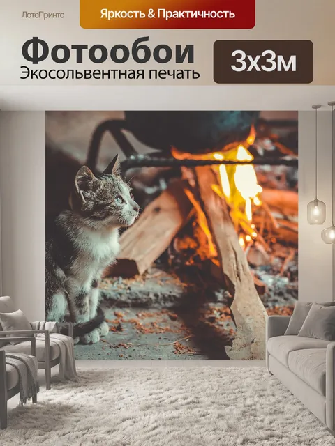 Фотообои Кошка