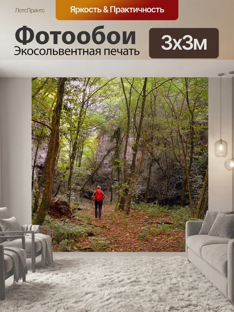 Фотообои Экскурсия