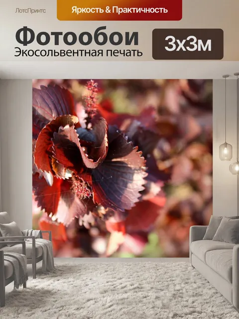 Фотообои Дикая лоза листья
