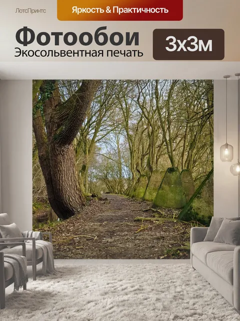 Фотообои Лес