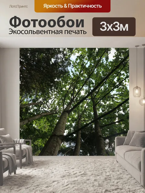 Фотообои Вид на деревья со дна