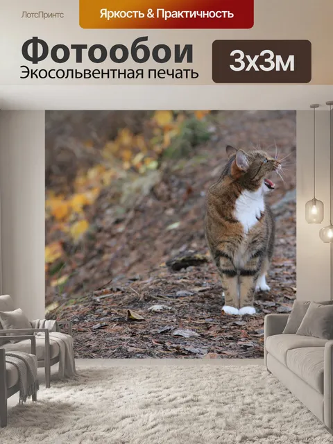 Фотообои Природа