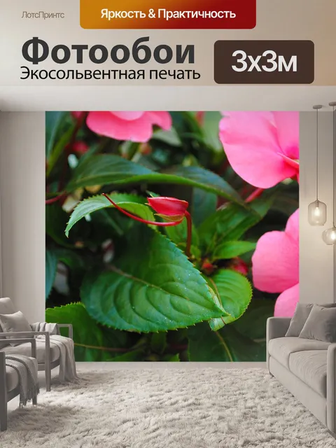 Фотообои Цветы