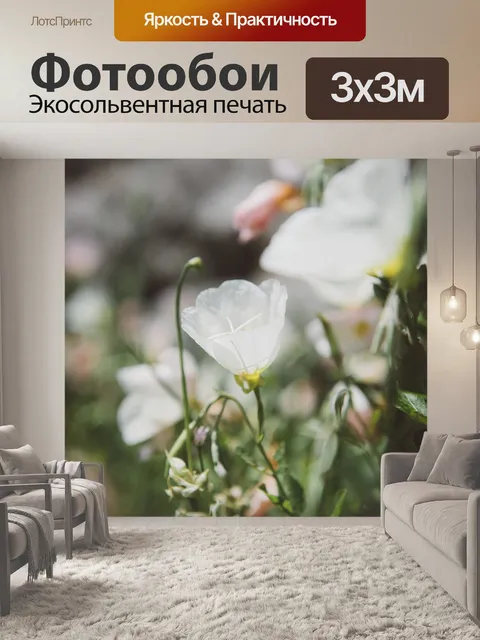 Фотообои Белый