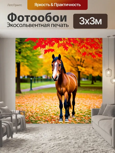 Фотообои пони в осеннем парке с разноцветными листьями