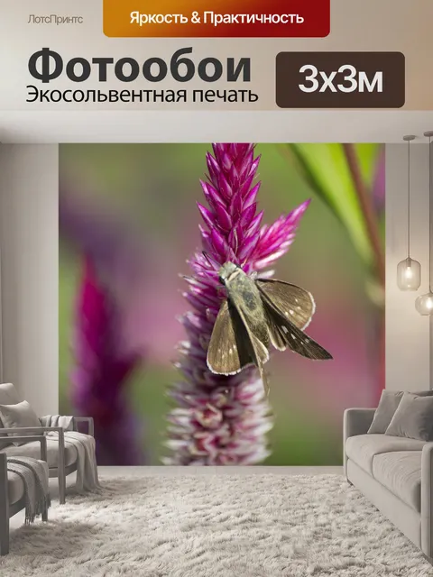 Фотообои Быстрый