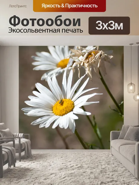 Фотообои Цветы