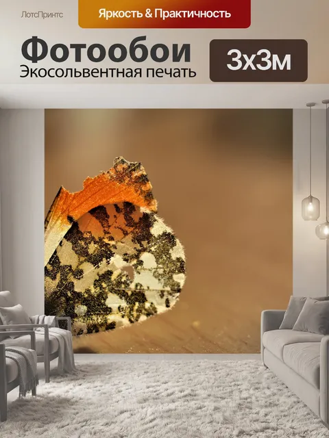 Фотообои Бабочка