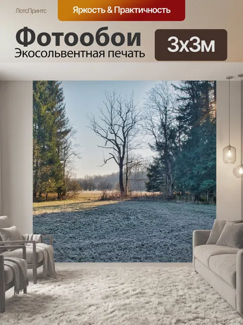 Фотообои Деревья