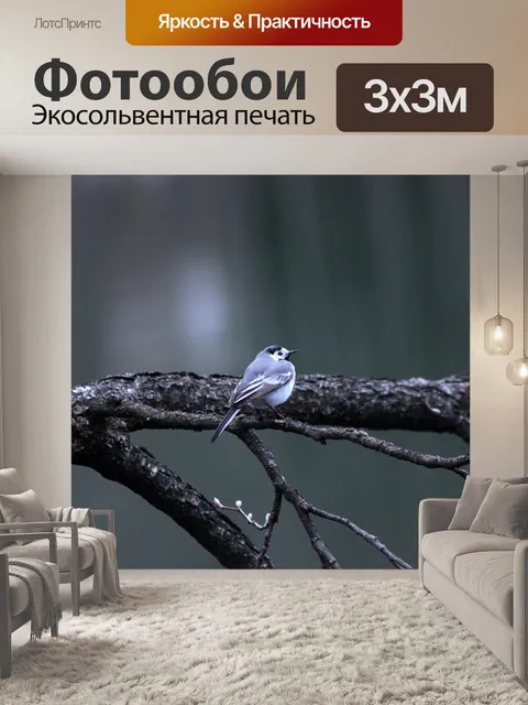 Фотообои Птица