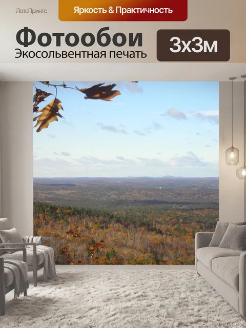 Фотообои Лес