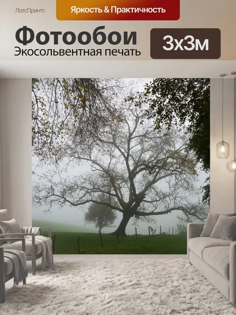 Фотообои Деревья