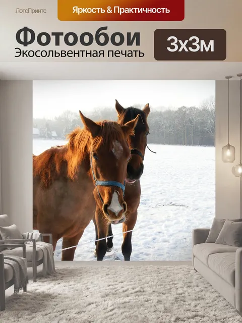 Фотообои Лошади