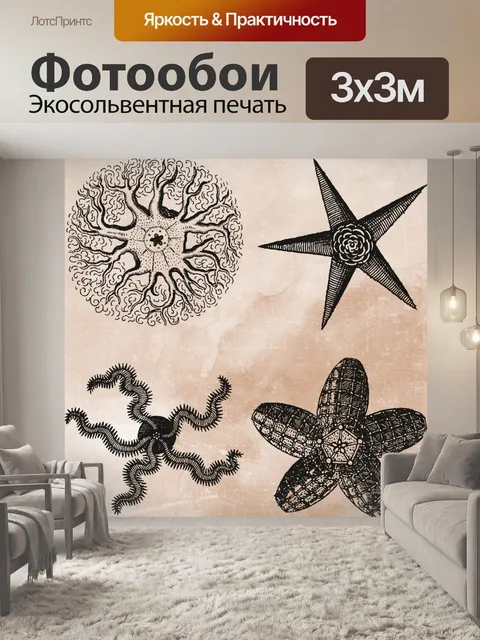 Фотообои Винтажная морская звезда Иллюстрация