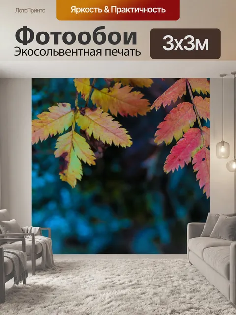 Фотообои Лист
