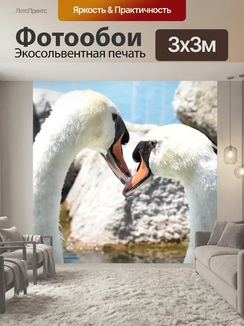 Фотообои Лебеди