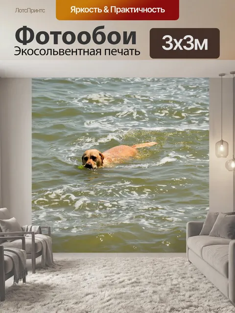 Фотообои Собаки