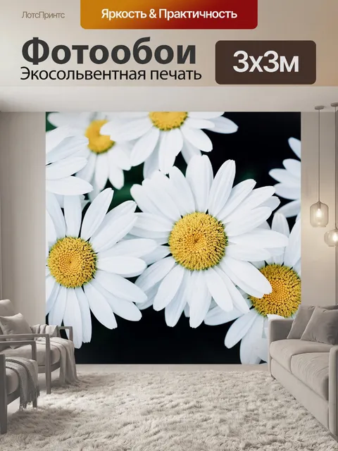 Фотообои Маргаритка