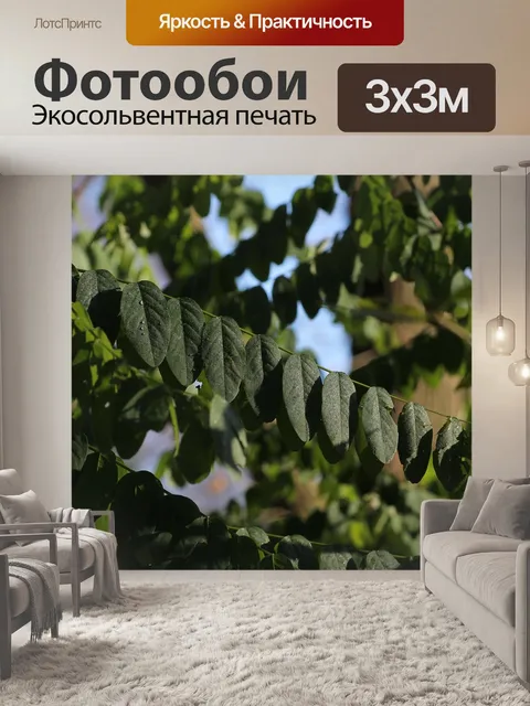 Фотообои Листья
