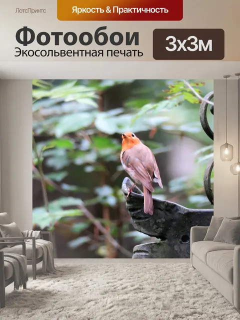 Фотообои Птица