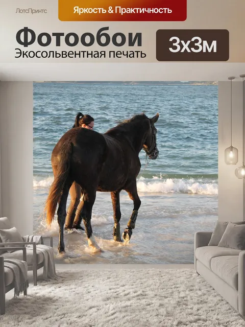 Фотообои Лошадь