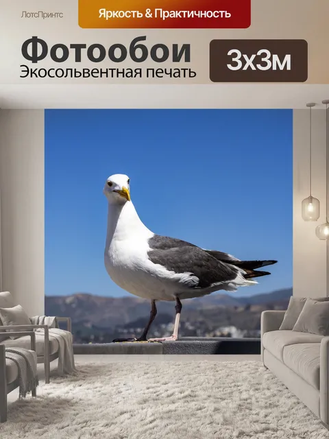 Фотообои чайка