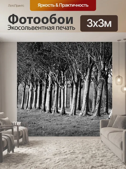Фотообои Ряд деревьев