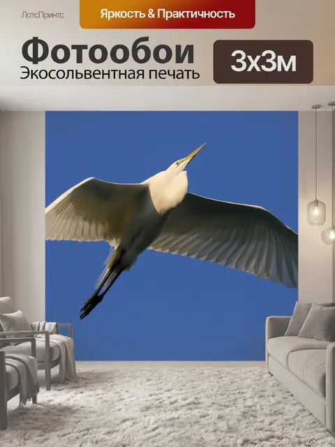 Фотообои Птицы