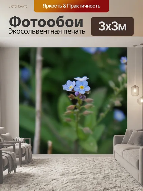 Фотообои Голубые цветы