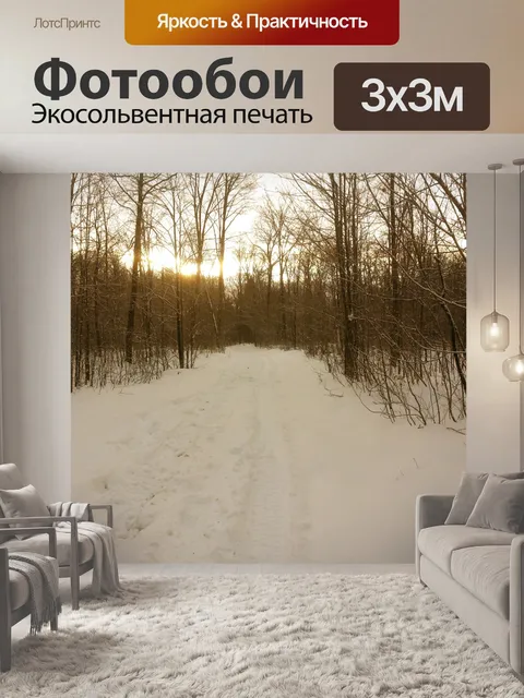 Фотообои Трейл в лесу