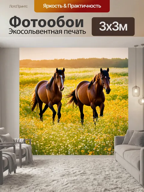 Фотообои лошади, которые прогуливаются по встречам с дикими цветами и солнечными променями
