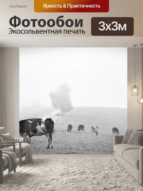 Фотообои Туман