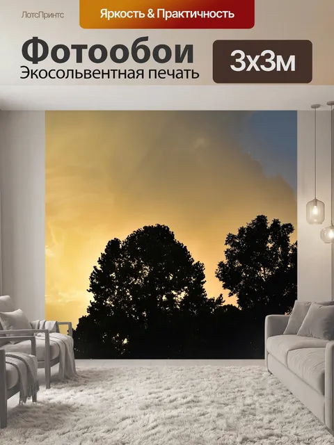 Фотообои Лучи заката