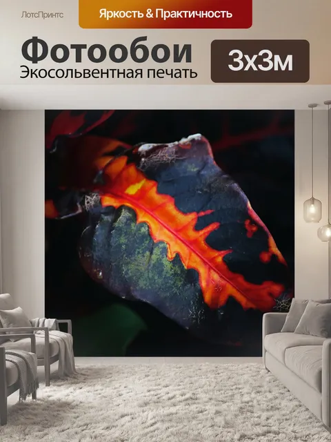 Фотообои темный лист с ярко-красной маркировкой