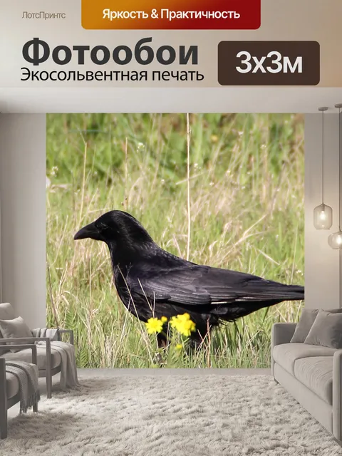 Фотообои Фон