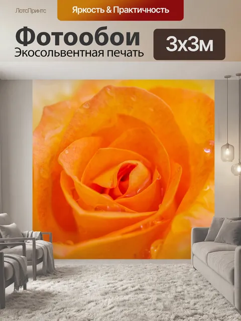 Фотообои Роза в саду