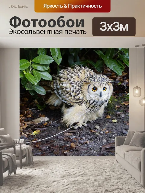 Фотообои Фараон филин