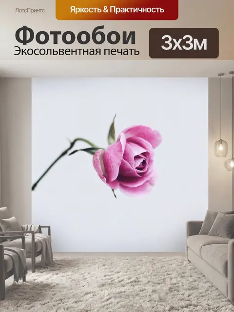 Фотообои Розы
