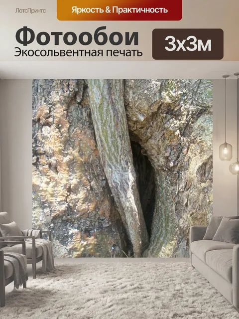 Фотообои Скрытые отрасли